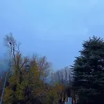 Del Bosco E Del Elimar