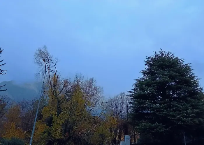 Del Bosco E Del Elimar