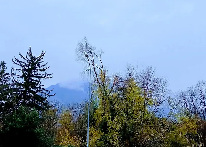 Del Bosco E Del Elimar Oda ve Kahvaltı 3*